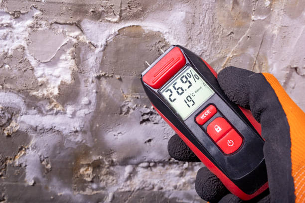 Crawl Space Mold Removal in Cadillac, MI